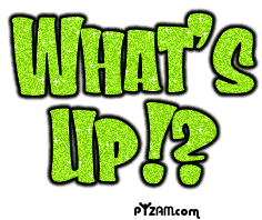 what's up!?