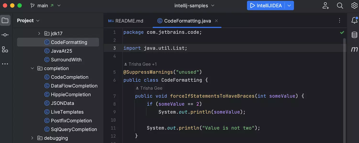 screenshot of IntelliJ IDEA