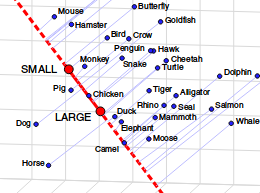 graph showing an embedding space with a SMALL to BIG line with animals of different sizes projected onto it